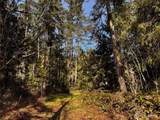 0 O'brien Lot 1 Road - Photo 8
