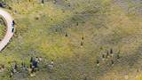 1 Lot 9 Ellensburg Ranches Road - Photo 14