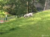 4895 76th Street - Photo 18
