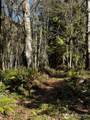 99 Lot 3 Robinson Road - Photo 10