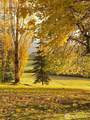 37695 Hansville Road - Photo 28