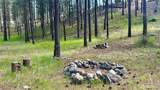 98 Larkspur Drive - Photo 1