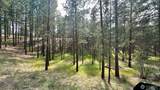 98 Larkspur Drive - Photo 4