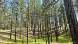 98 Larkspur Drive - Photo 6