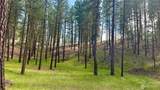 98 Larkspur Drive - Photo 7