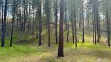 98 Larkspur Drive - Photo 8