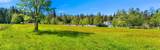 3807 Smith Road - Photo 34