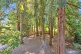 3356 Summer Place - Photo 13