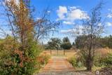 243 Winter Creek Lane - Photo 34