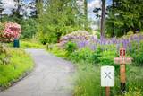132 Goliah Lane - Photo 7