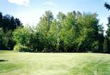 11409 93rd Avenue - Photo 21