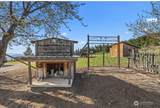 717 Conrad Hill Way - Photo 29