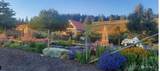 717 Conrad Hill Way - Photo 31