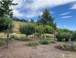 717 Conrad Hill Way - Photo 32