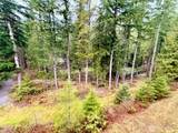 10500 Mt Baker Highway - Photo 20