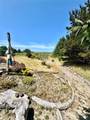 15217 Pacific Way - Photo 34