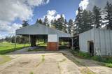 17115 Hannus Road - Photo 7