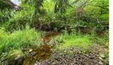 9515 Sunrise Road - Photo 35