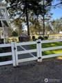 102 Narwhal Loop - Photo 28