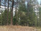 111 TBD W West Curlew Lake Road - Photo 2