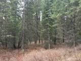 111 TBD W West Curlew Lake Road - Photo 3