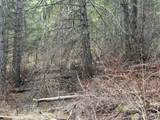 111 TBD W West Curlew Lake Road - Photo 7