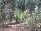111 TBD E West Curlew Lake Road - Photo 16