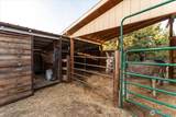 300 Sunset Way - Photo 35