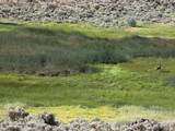 0 Silica Road - Photo 21
