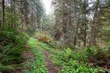 23655 Bulson Road - Photo 39