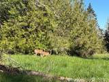 9999 Elks Pass Road - Photo 17
