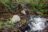 13101 Olalla Valley Road - Photo 33