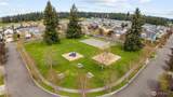 15287 Kayla Street - Photo 34