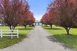 7445 Cate Farm Drive - Photo 38