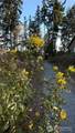 18914 146th Street - Photo 21
