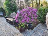 18914 146th Street - Photo 25