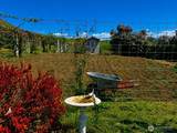 492 Pine Creek Road - Photo 33