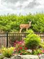 14708 182nd Avenue - Photo 33