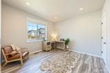 311 Pinegrass St - Photo 14