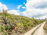 10 Lot 9 Chelan Hills Acres Rd - Photo 12