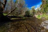 251 Beeville Road - Photo 36