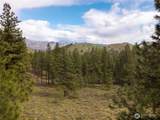 9 Whitebark Lane - Photo 1