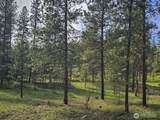 9 Whitebark Lane - Photo 15