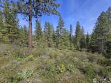 9 Whitebark Lane - Photo 7