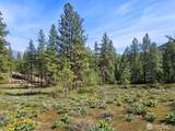 9 Whitebark Lane - Photo 8