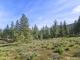 9 Whitebark Lane - Photo 9