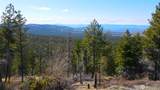32 1 Twin Creeks Ranch - Photo 15