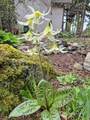1725 13th Street - Photo 20