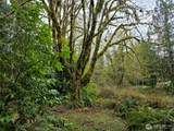 23208 Alder Drive - Photo 13