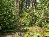 23208 Alder Drive - Photo 15